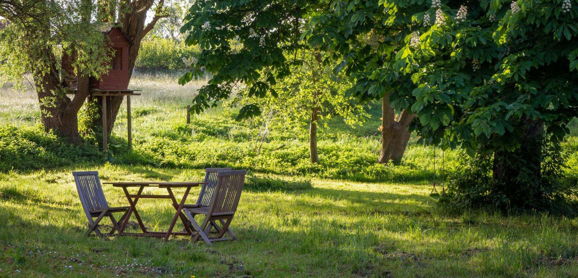 brown wooden bench under green tree during daytime