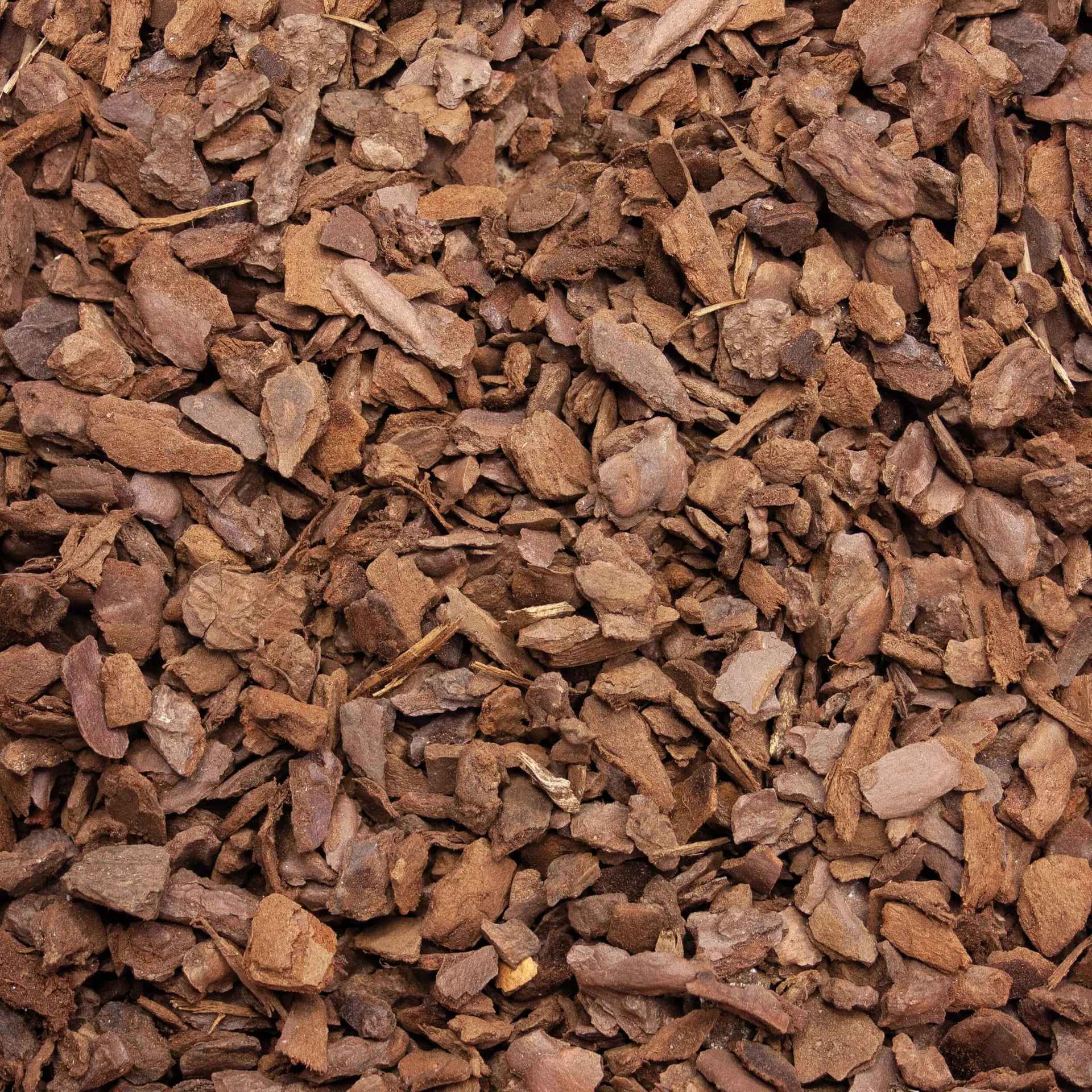 GALAMIO Pinienrinde fein – Textur-Nahaufnahme