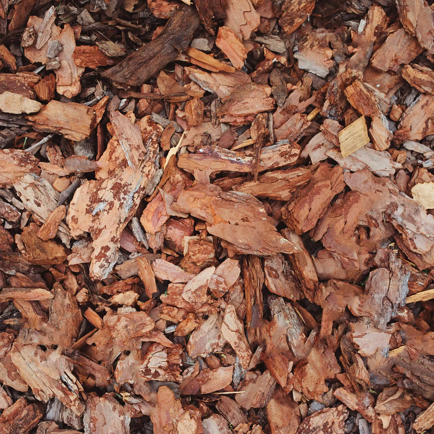 GALAMIO Rindenmulch Kiefer mittel – Textur-Nahaufnahme