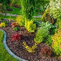 MUA60-Rindenmulch-Kiefer-Fein-Anwendung2.webp